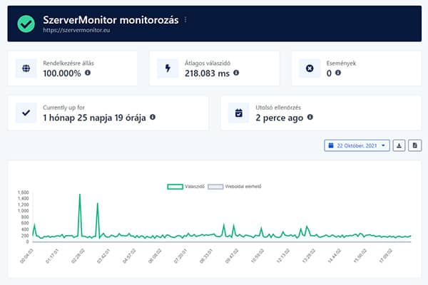 Weboldal vagy szerver monitorozás